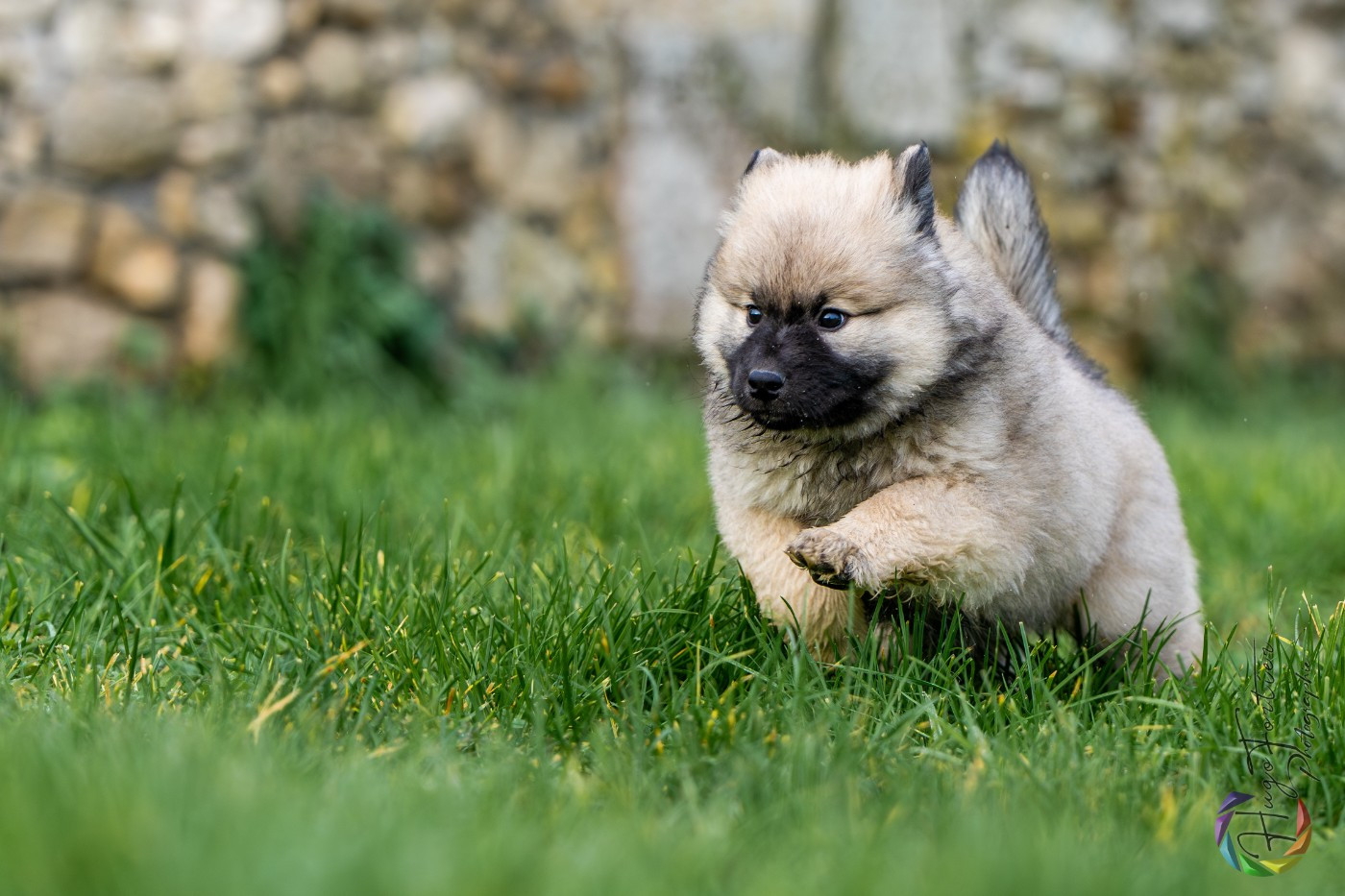 Ashtaroth Des Délices De Beltaine