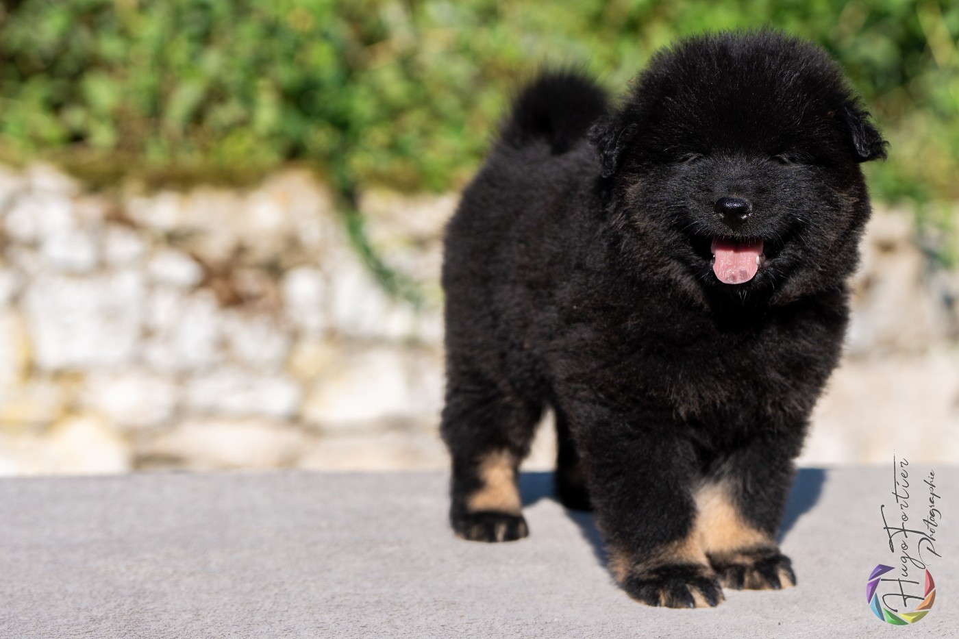 August Des Délices De Beltaine