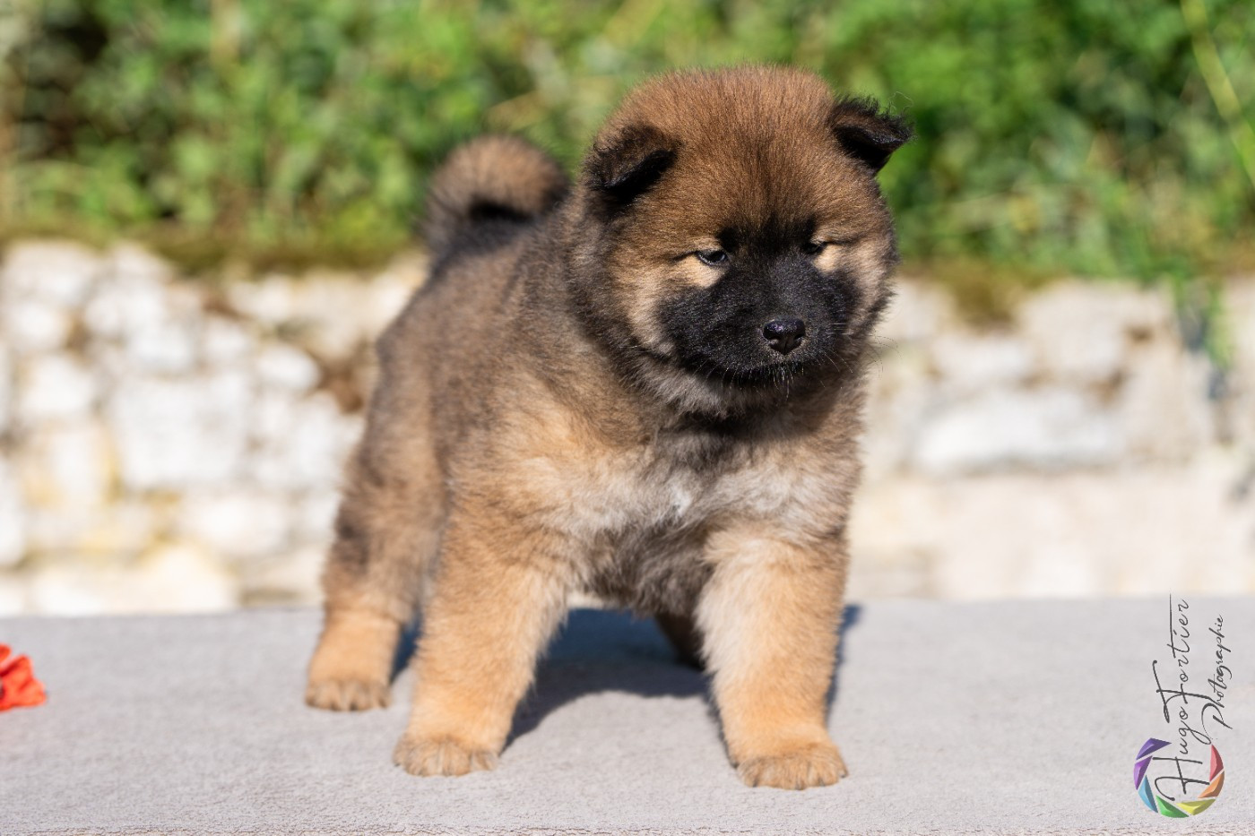 Athena Des Délices De Beltaine