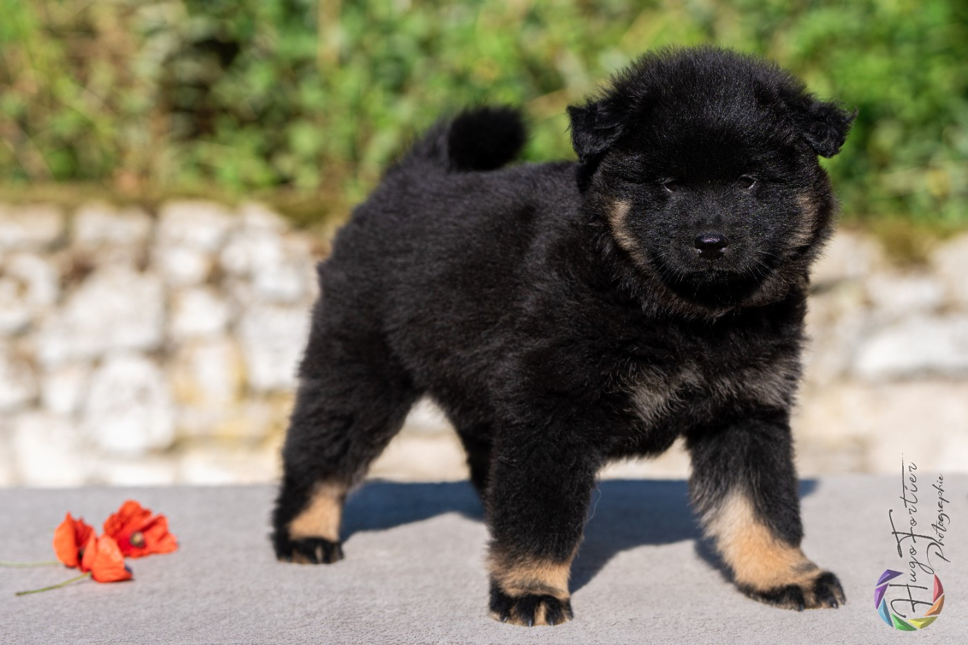 Aslaug Des Délices De Beltaine