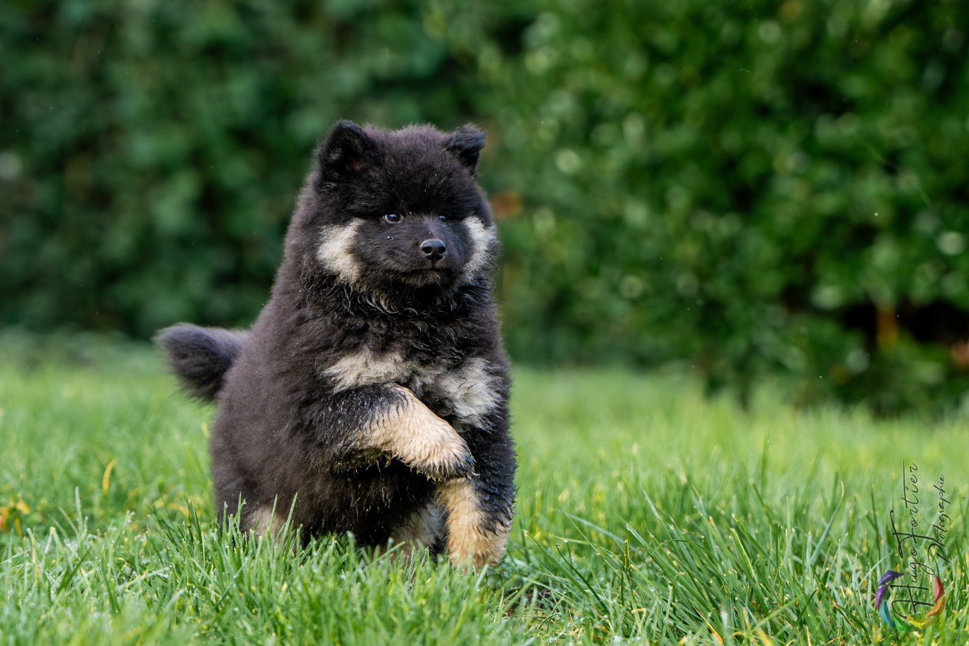 Argos Des Délices De Beltaine