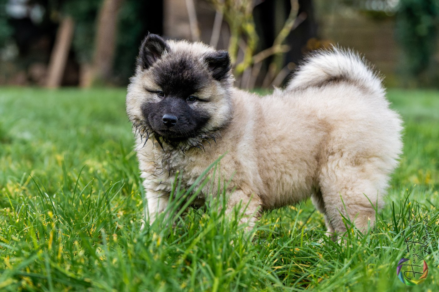 Aika Des Délices De Beltaine