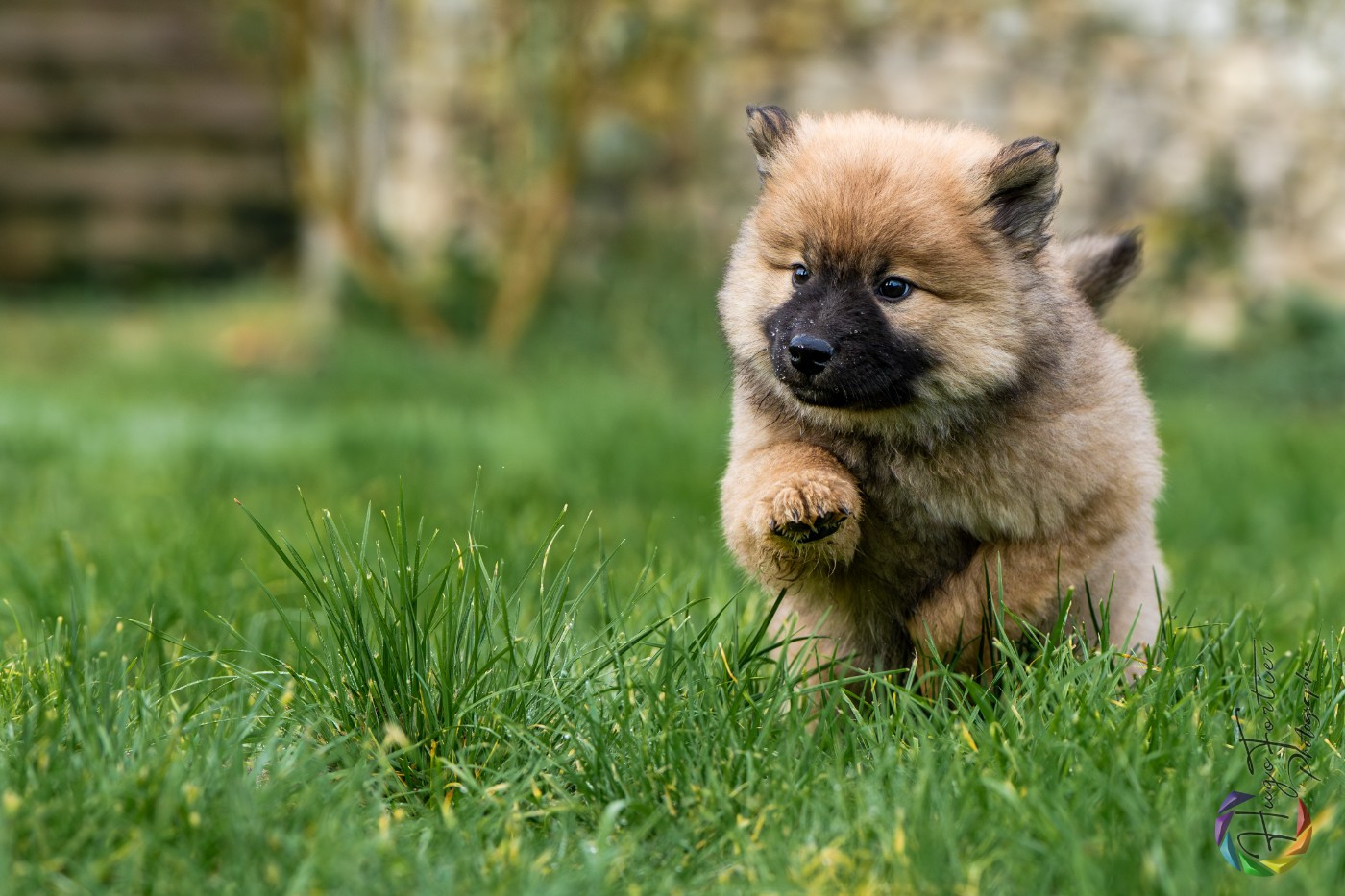 Astra Des Délices De Beltaine